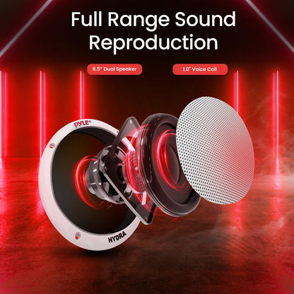 6.5 Inch Marine Component Speakers-PLMR605W