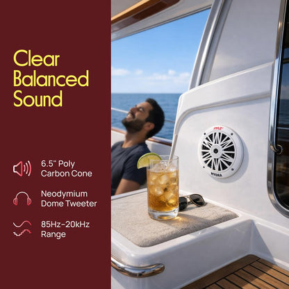 6.5 Inch Marine Component Speakers-PLMR63