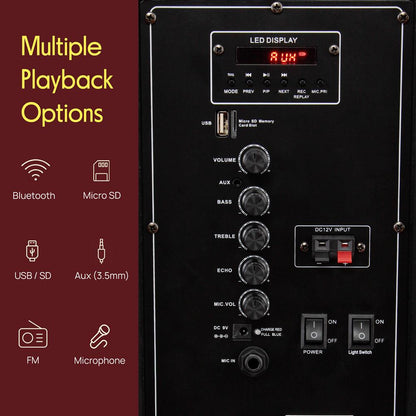 Portable Pa Speaker With Led Lights