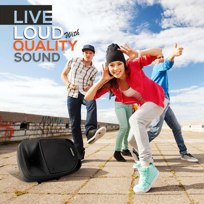 800W Portable Bluetooth PA Speaker Rechargeable UHF Mic 8 Subwoofer